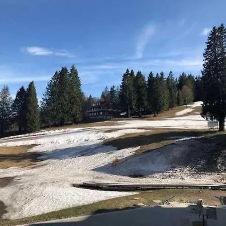 H&p Touristik Residenz Grafenmatt Gra-1-2 Lägenhet Feldberg (Baden-Wurttemberg)